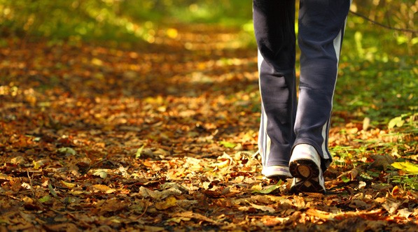 Walking in Autumn